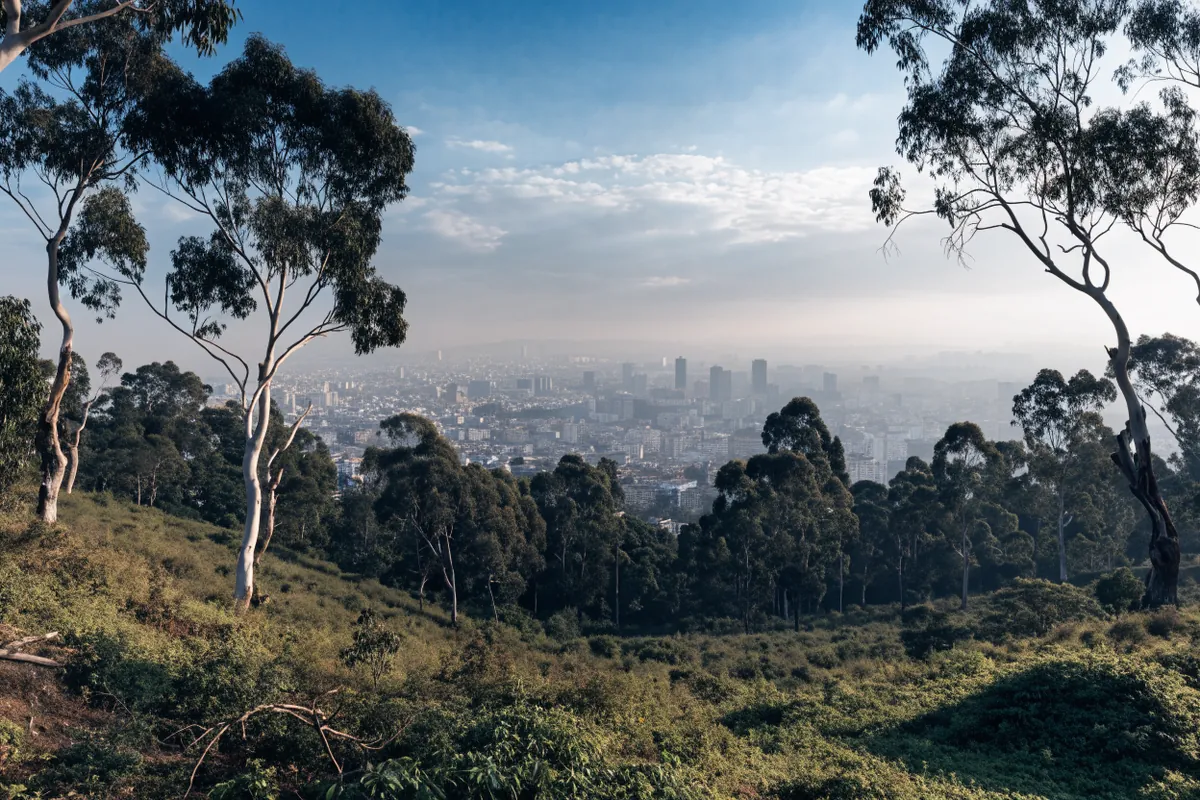 AI-generated illustration: Addis Ababa-inspired highland city