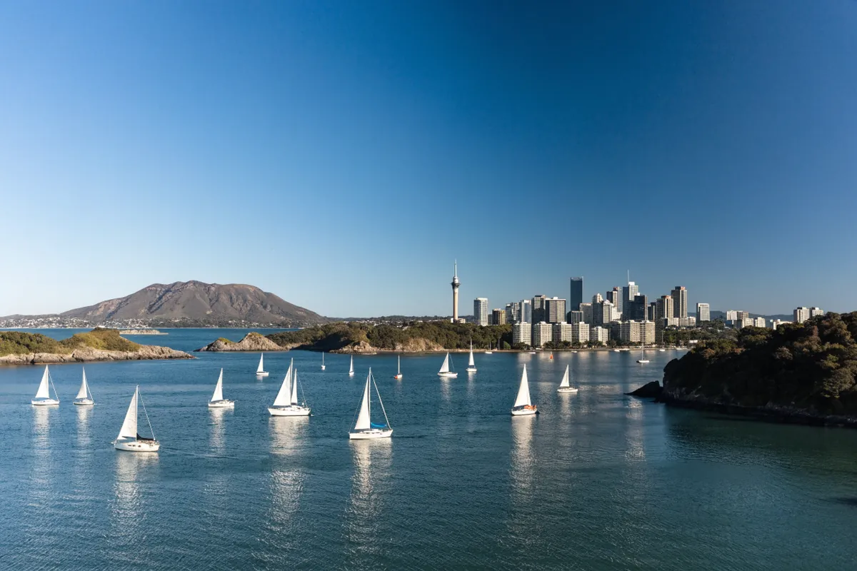 AI-generated illustration: Auckland-inspired harbour