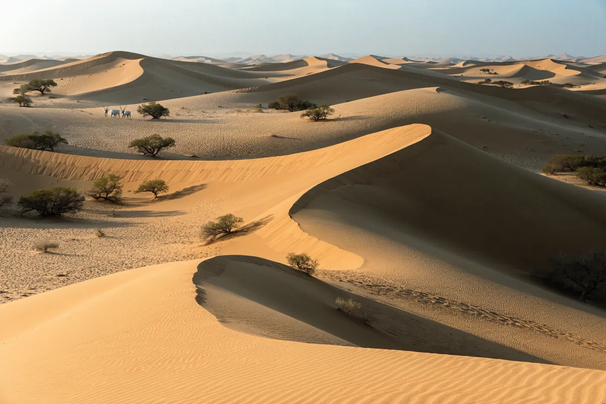 AI-generated illustration: Dubai desert reserve-inspired dunes