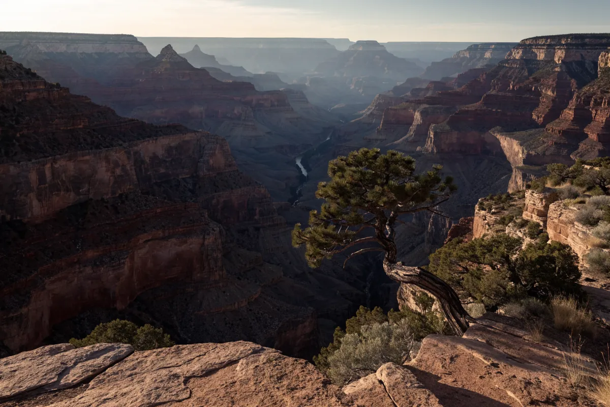AI-generated illustration: Grand Canyon-inspired South Rim view