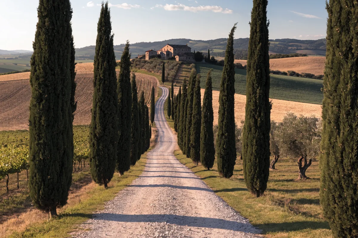 AI-generated illustration: Tuscany-inspired countryside