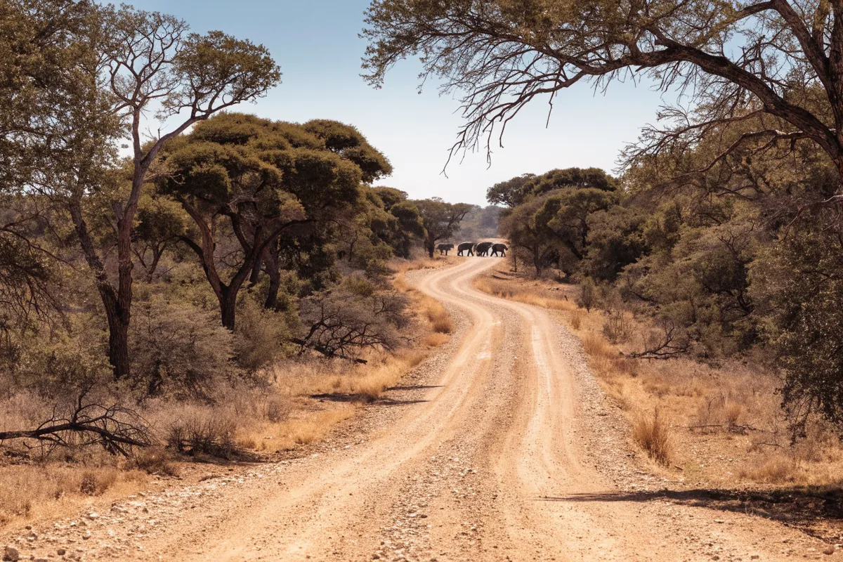 AI-generated illustration: Kruger-inspired bushveld
