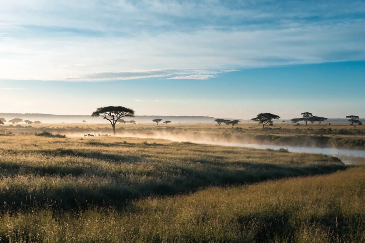 AI-generated illustration: Maasai Mara-inspired savanna