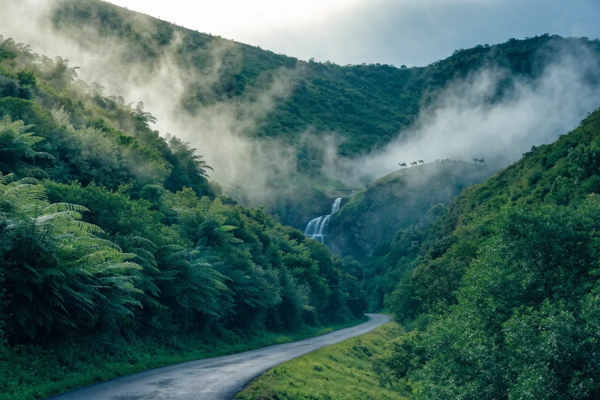 AI-generated illustration: Salalah-inspired khareef landscape